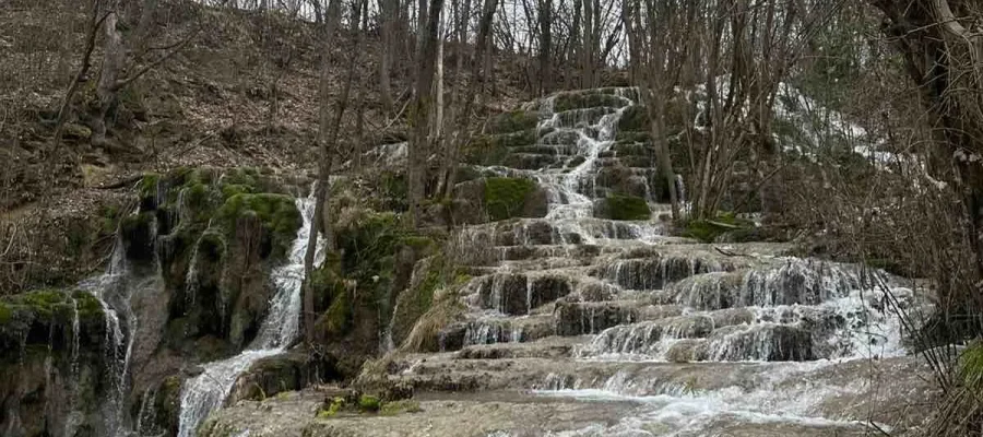 Upravljanje-zaštićenim-područjima-Cover